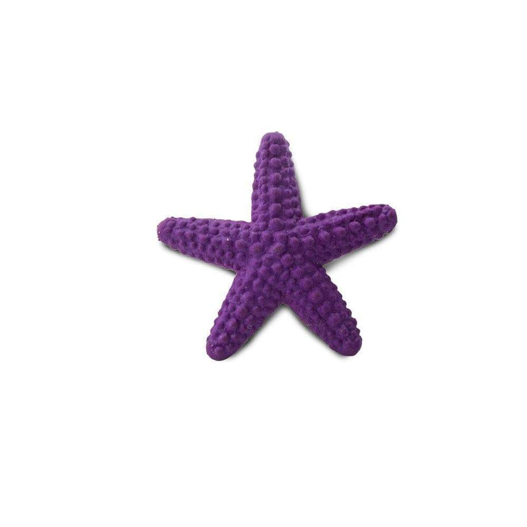 Safari Ltd Mini Starfish