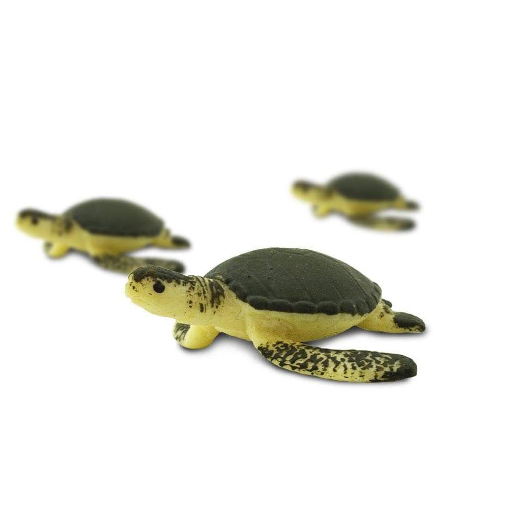 Safari Ltd Mini Sea Turtles