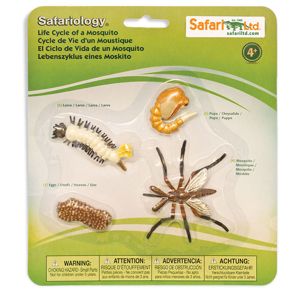 Safari Ltd Life Cycle of a Mosquito