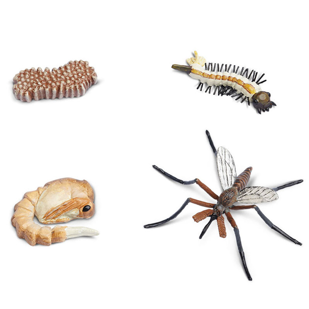 Safari Ltd Life Cycle of a Mosquito