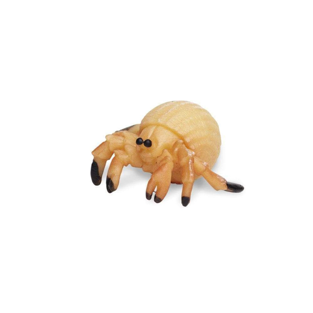 Safari Ltd Mini Hermit Crabs