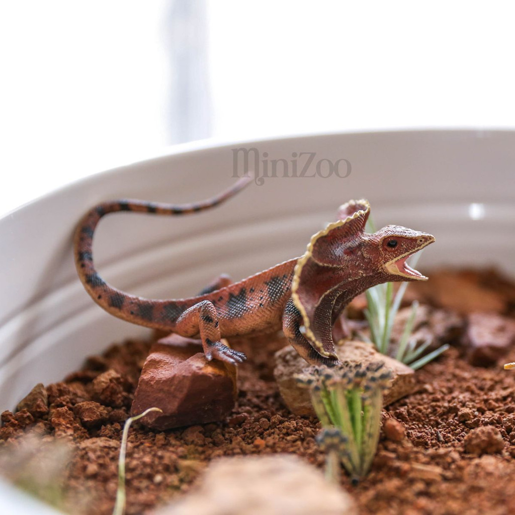CollectA Frilled Necked Lizard realistic toy figurine MiniZoo