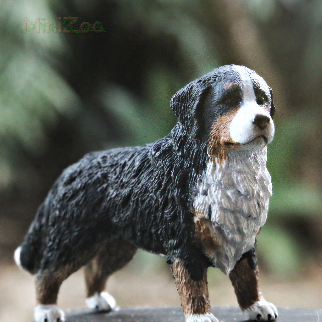 Schleich Bernese Mountain Dog Female