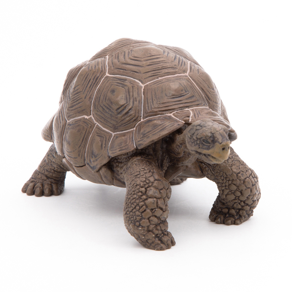 Papo Galapagos Tortoise