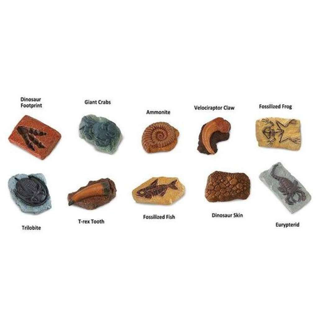 Safari Ltd Ancient Fossils toy models