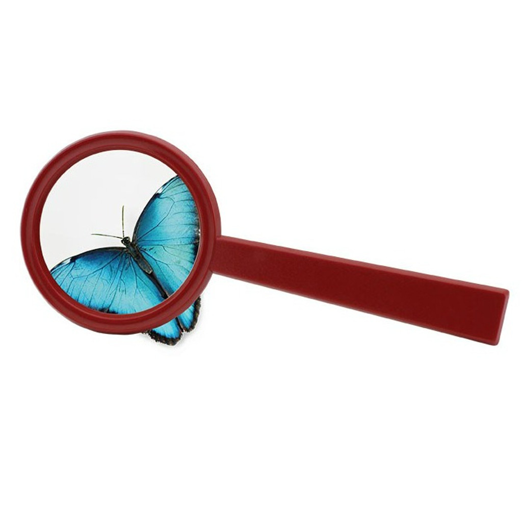 Safari Ltd Magnifying Lens