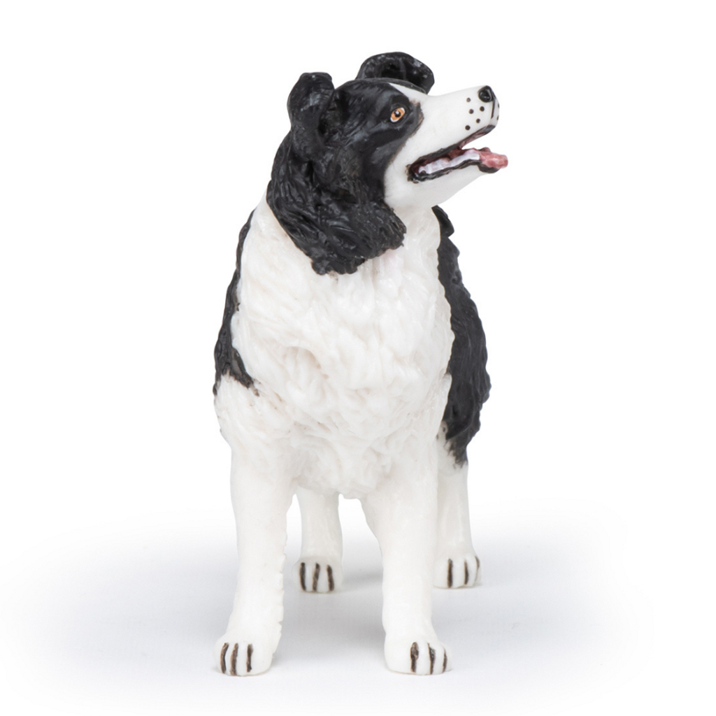 Papo Border Collie