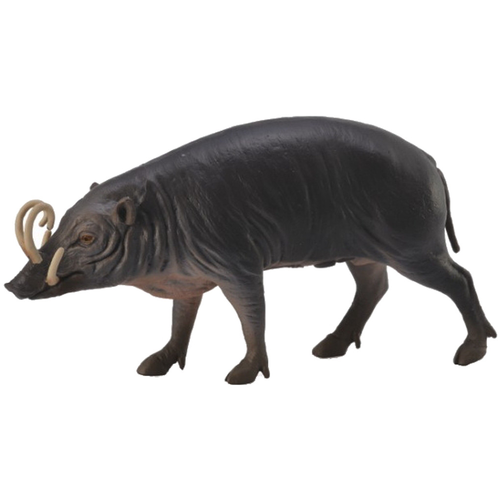 CollectA Sulawesi Babirusa