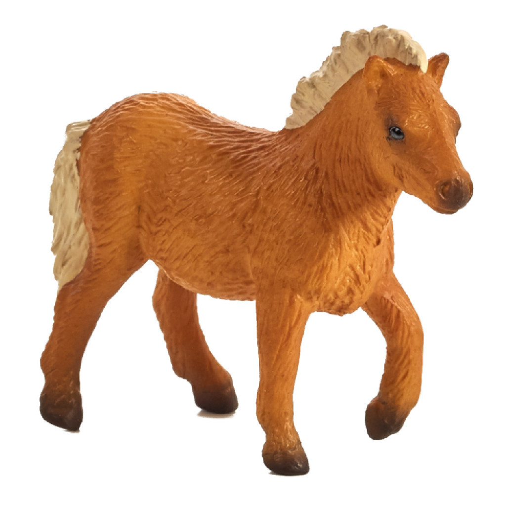 Mojo Shetland Pony Foal  new colour