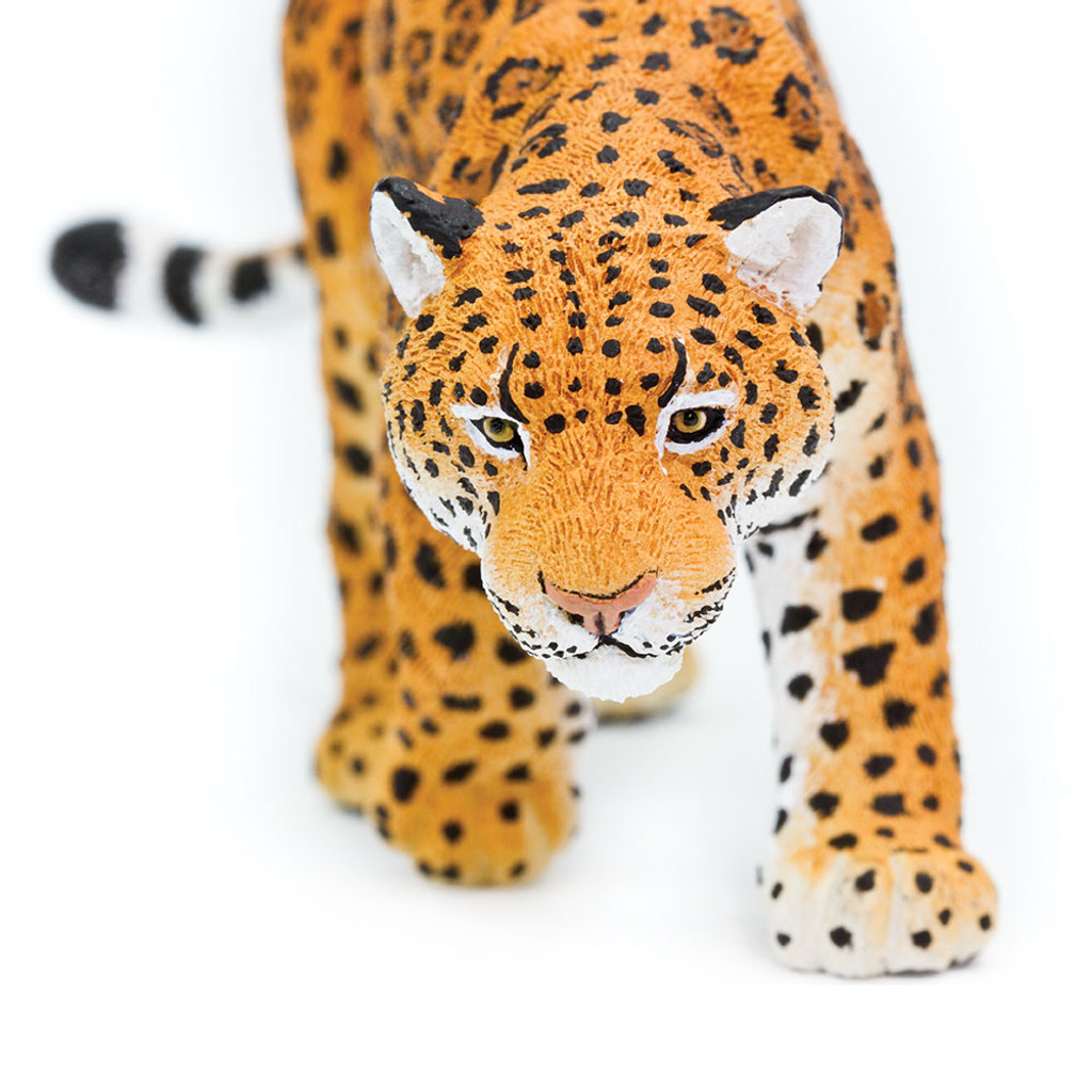 Safari Ltd Jaguar