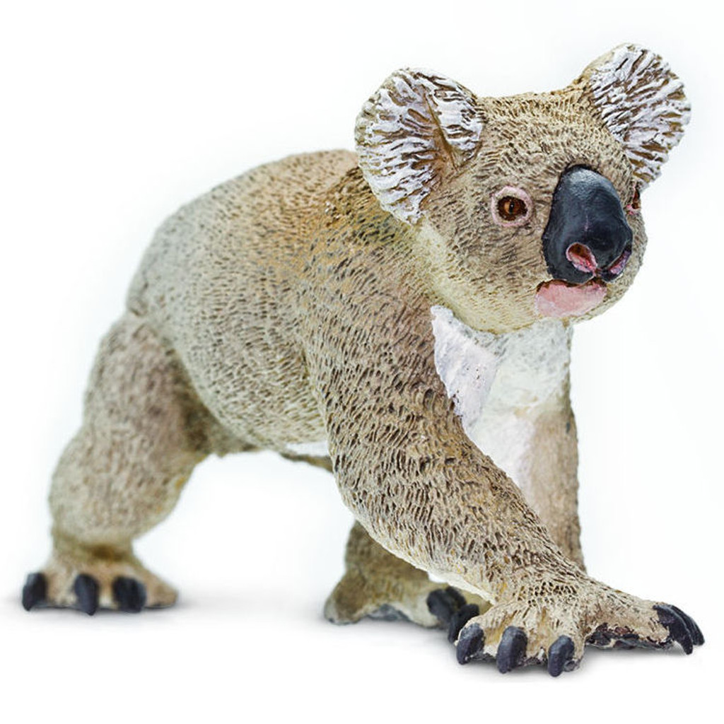 Safari Ltd Koala