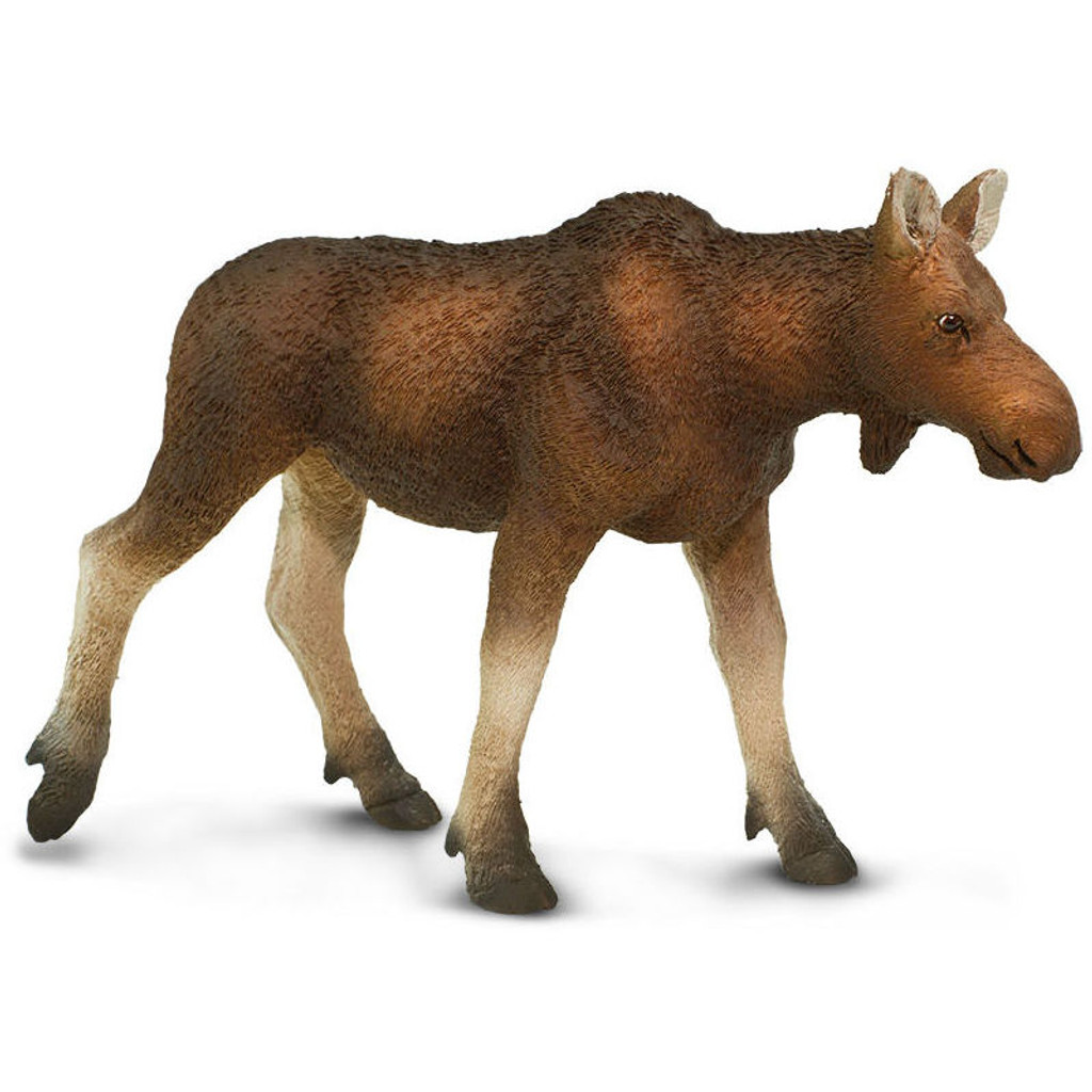 Safari Ltd Moose Cow