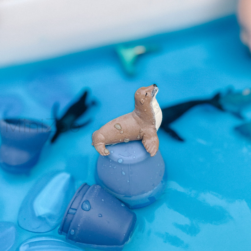  Science and Nature Small Australian Sea Lion lifestyle play tray MiniZoo