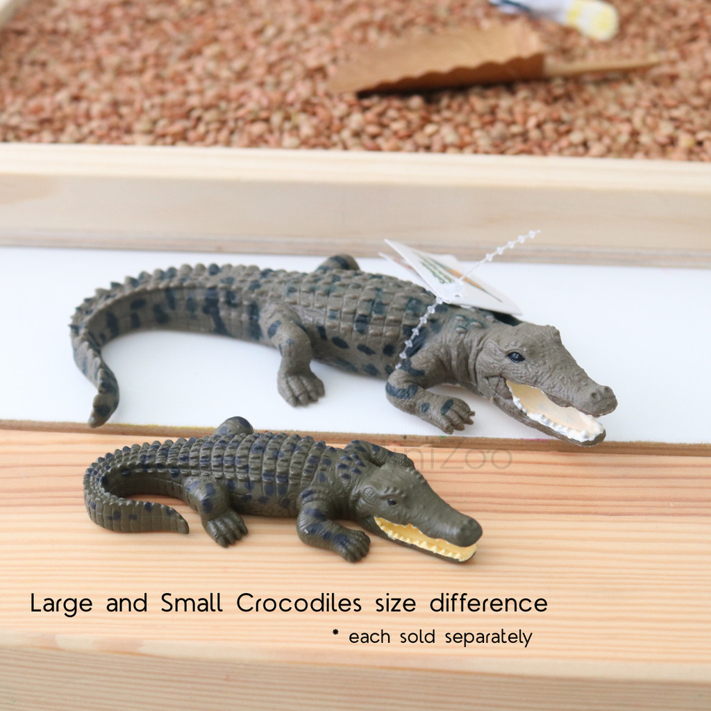 Science and Nature Crocodile Large and small size comparison MiniZoo