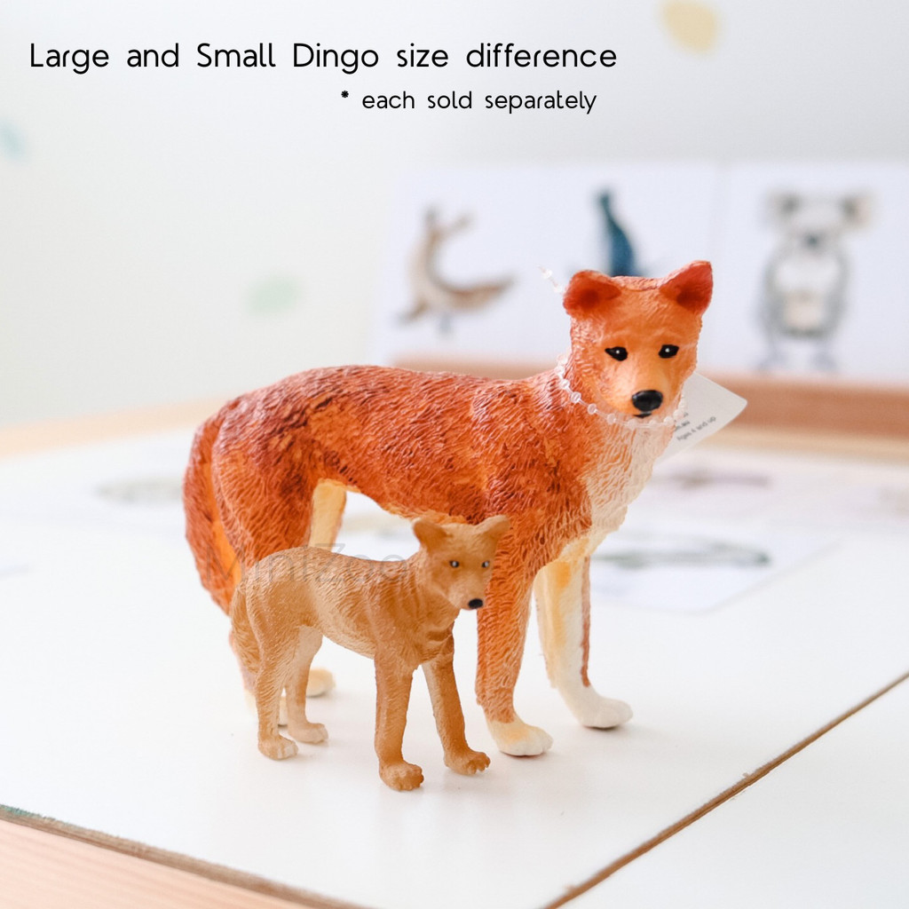 Science and Nature Small Dingo