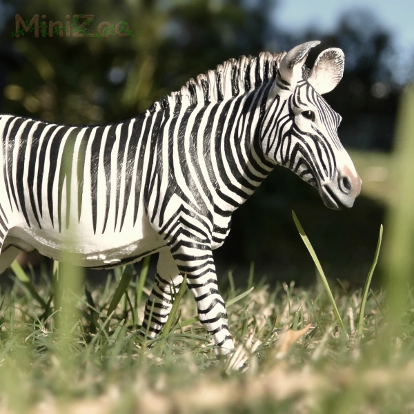 CollectA Grevys Zebra