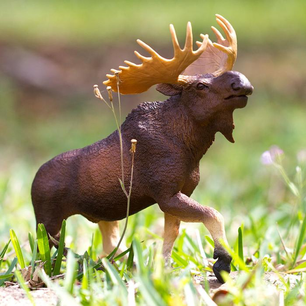Safari Ltd Moose Jumbo