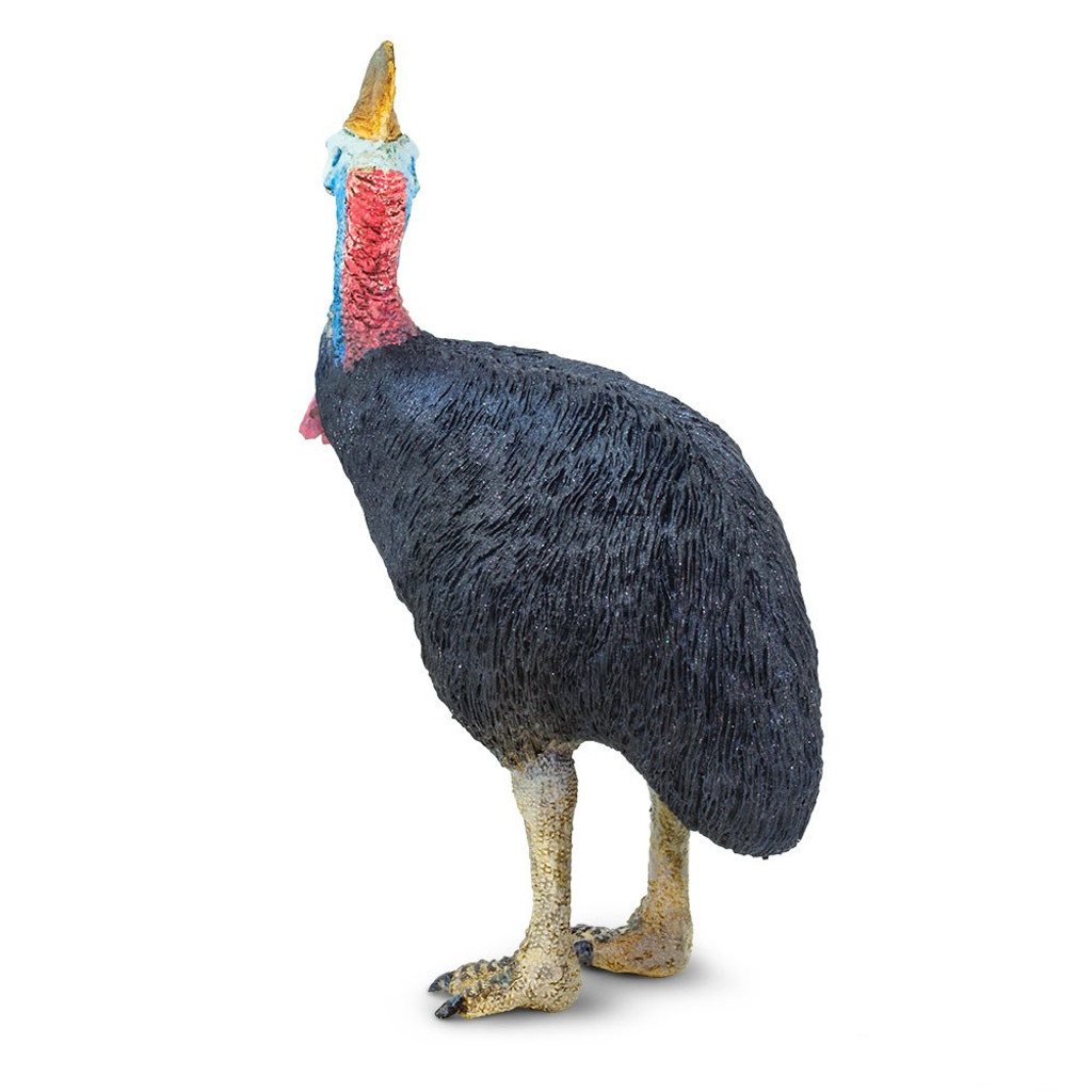 Safari Ltd Cassowary