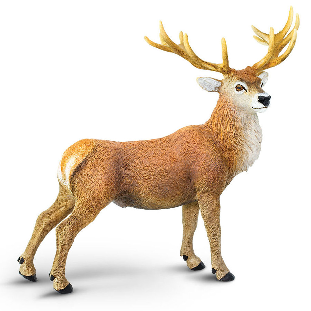 Safari Ltd Red Deer Buck