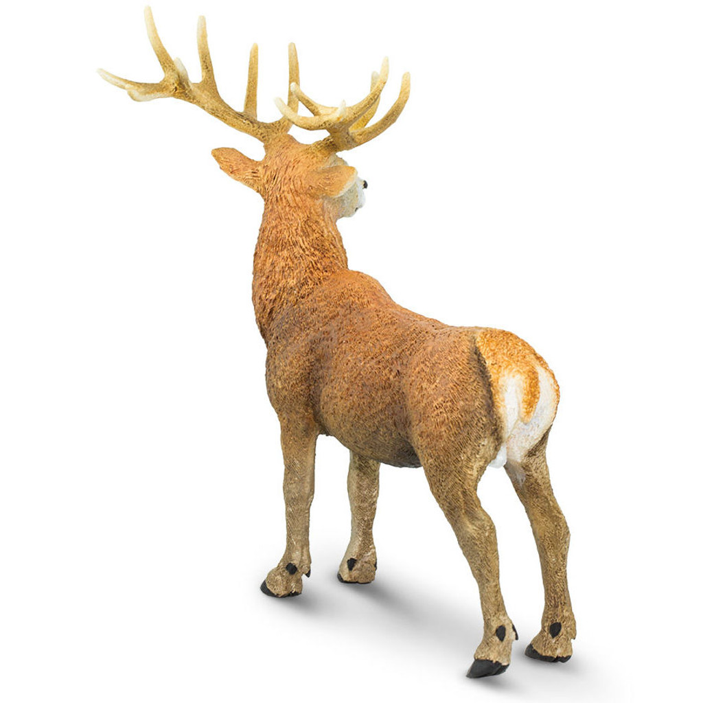 Safari Ltd Red Deer Buck