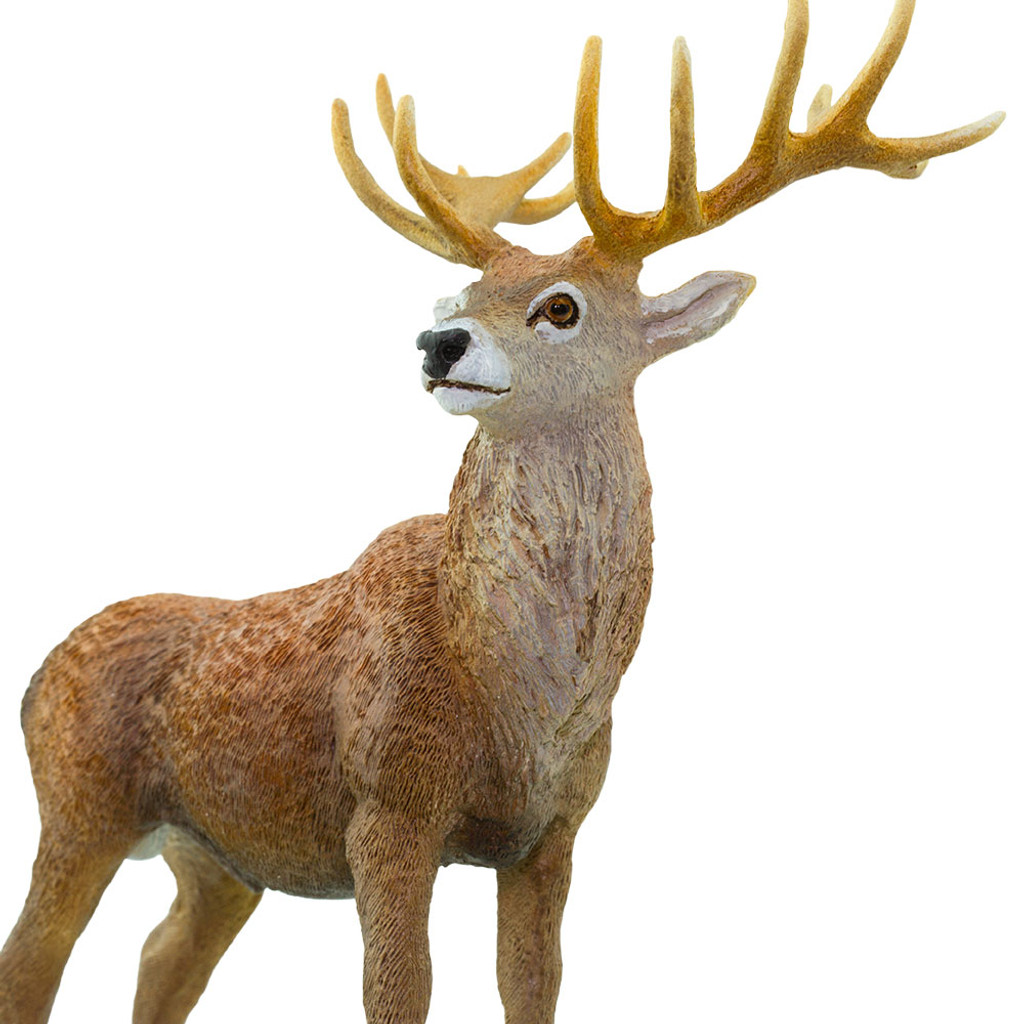 Safari Ltd Red Deer Buck
