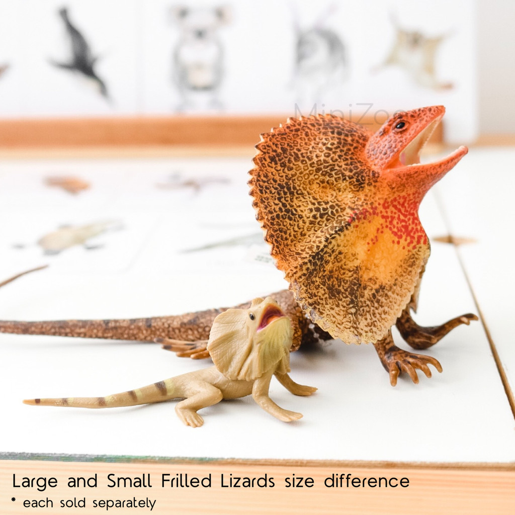 Science and Nature Large Frill Necked Lizard