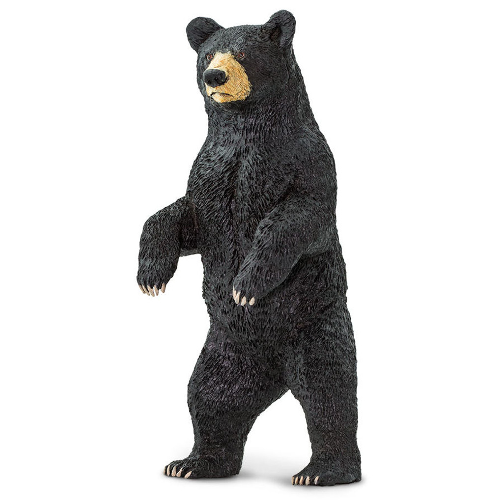 Safari Ltd Black Bear Standing