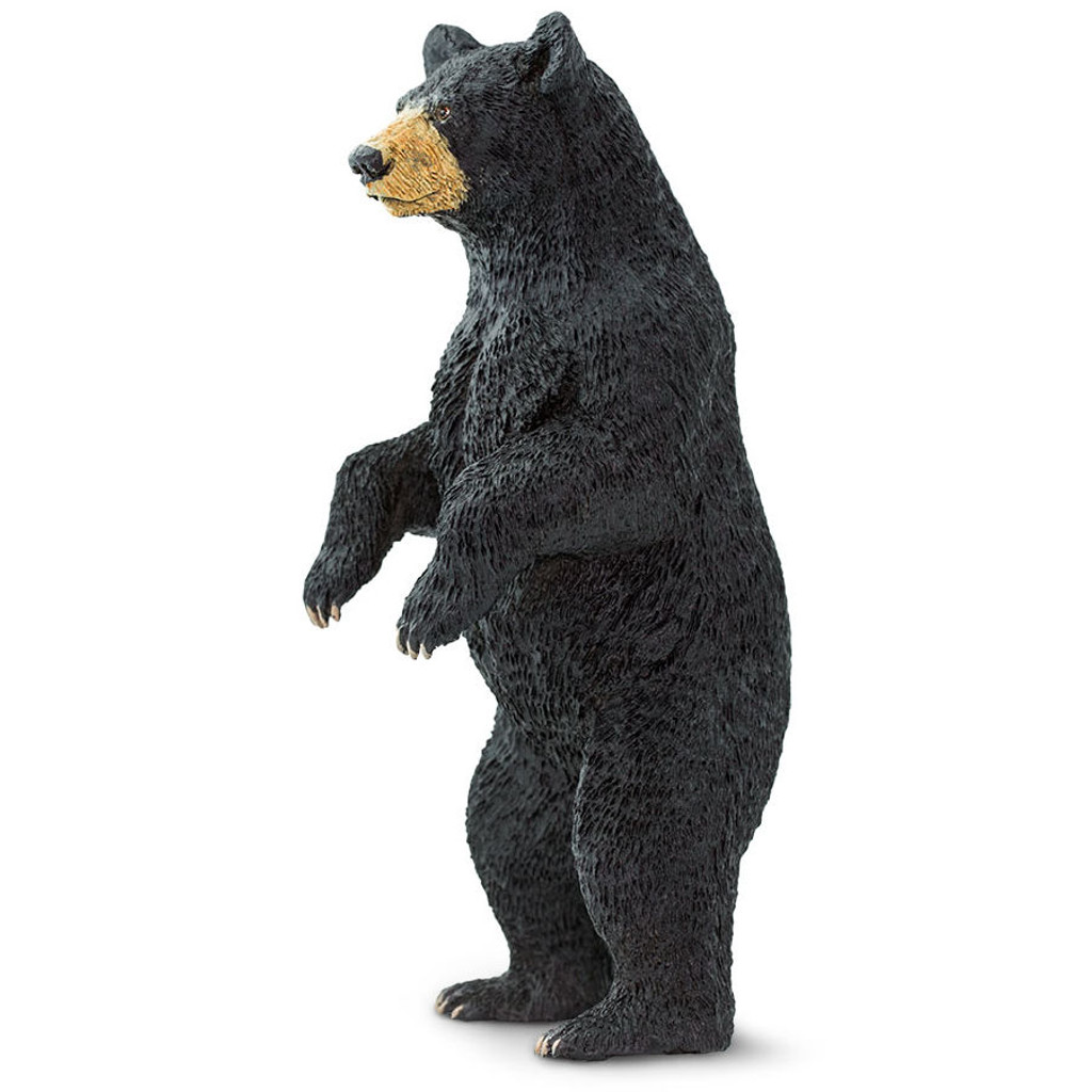 Safari Ltd Black Bear Standing