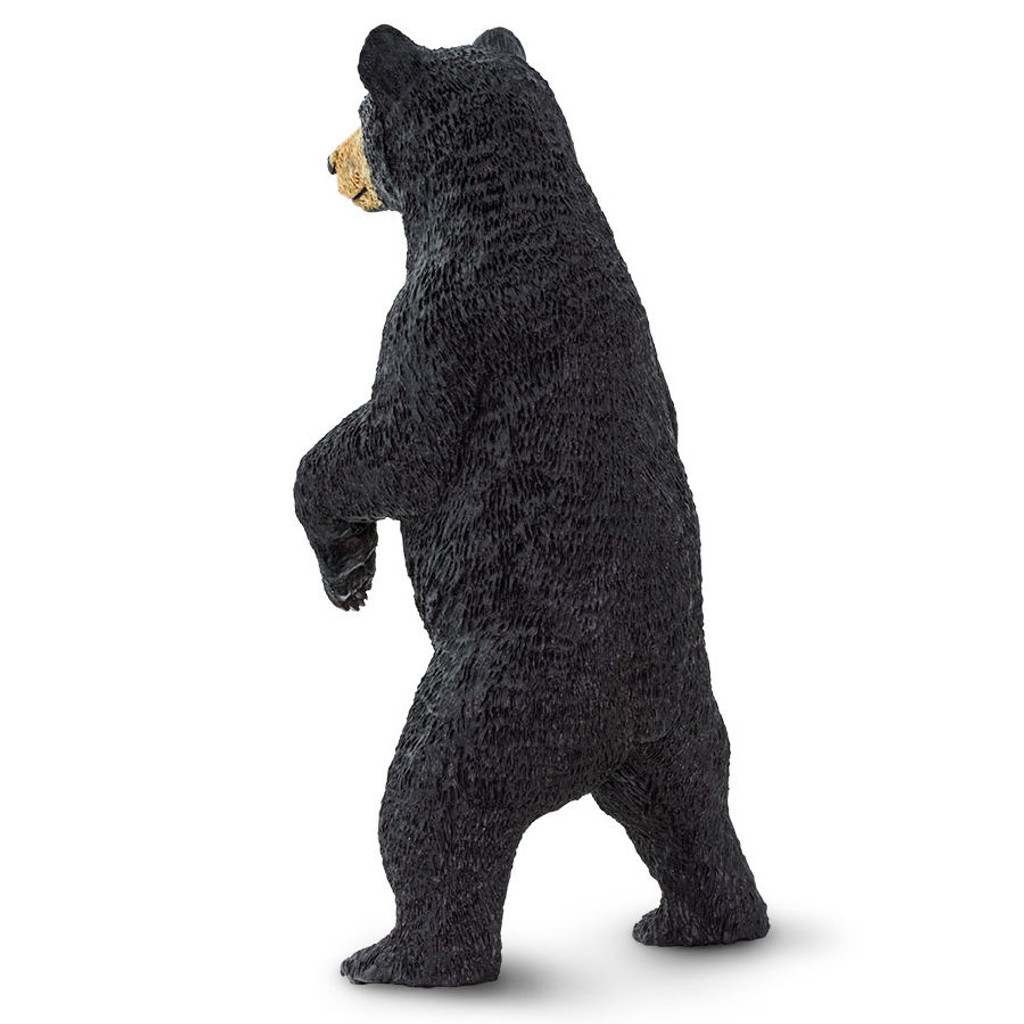 Safari Ltd Black Bear Standing