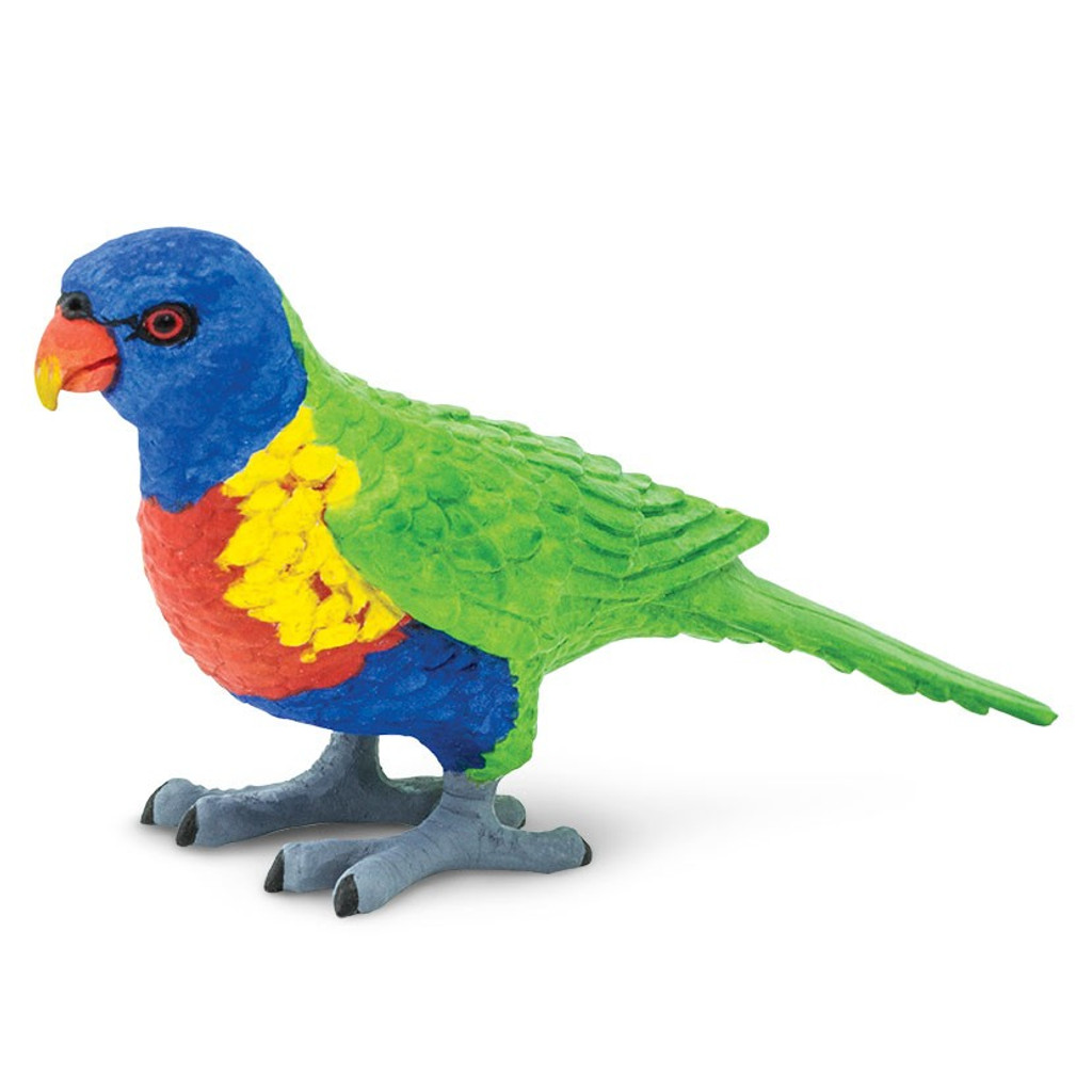 Safari Ltd Lorikeet 150229 Safari Birds Safari Ltd Lorikeet 150229 Safari Birds