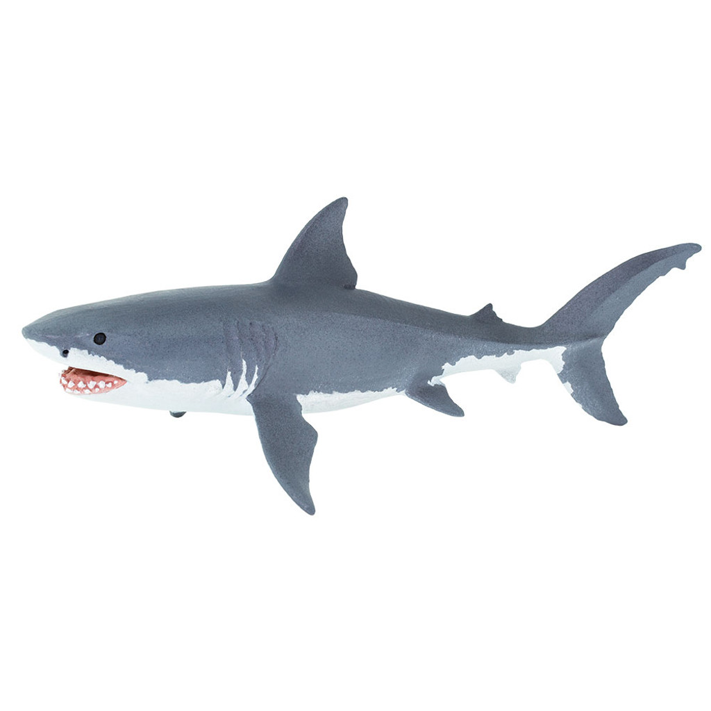 Safari Ltd  Great White Shark
