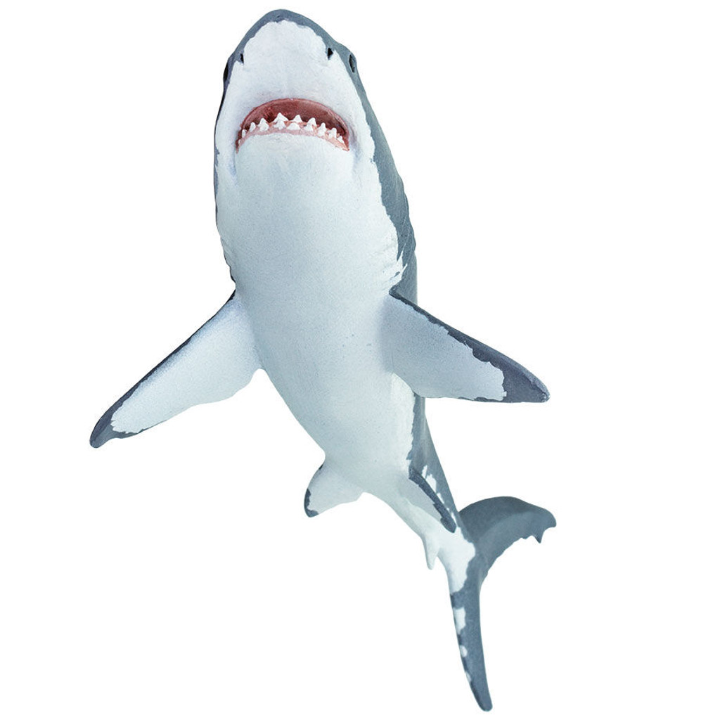 Safari Ltd  Great White Shark
