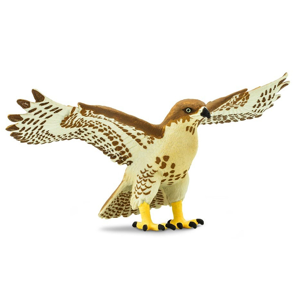 Safari Ltd Red Tailed Hawk