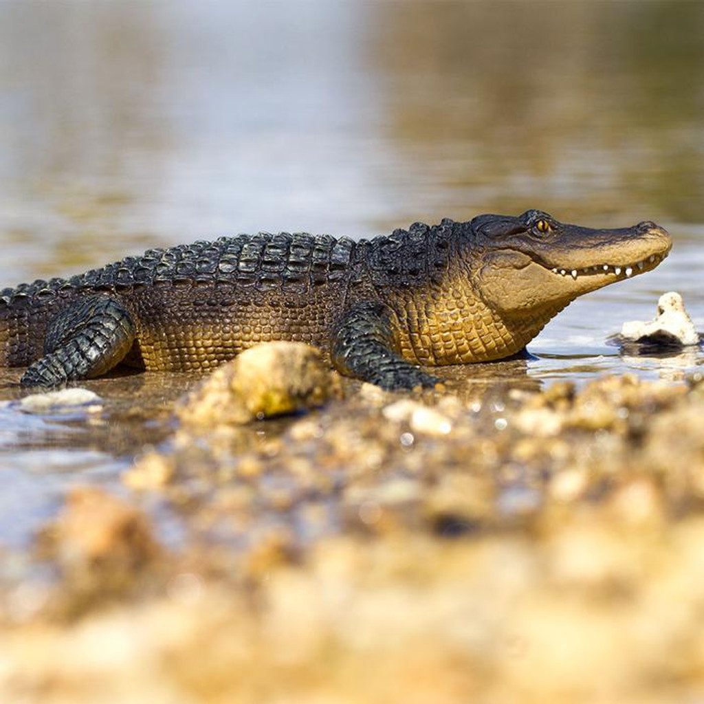 Safari Ltd Alligator Jumbo