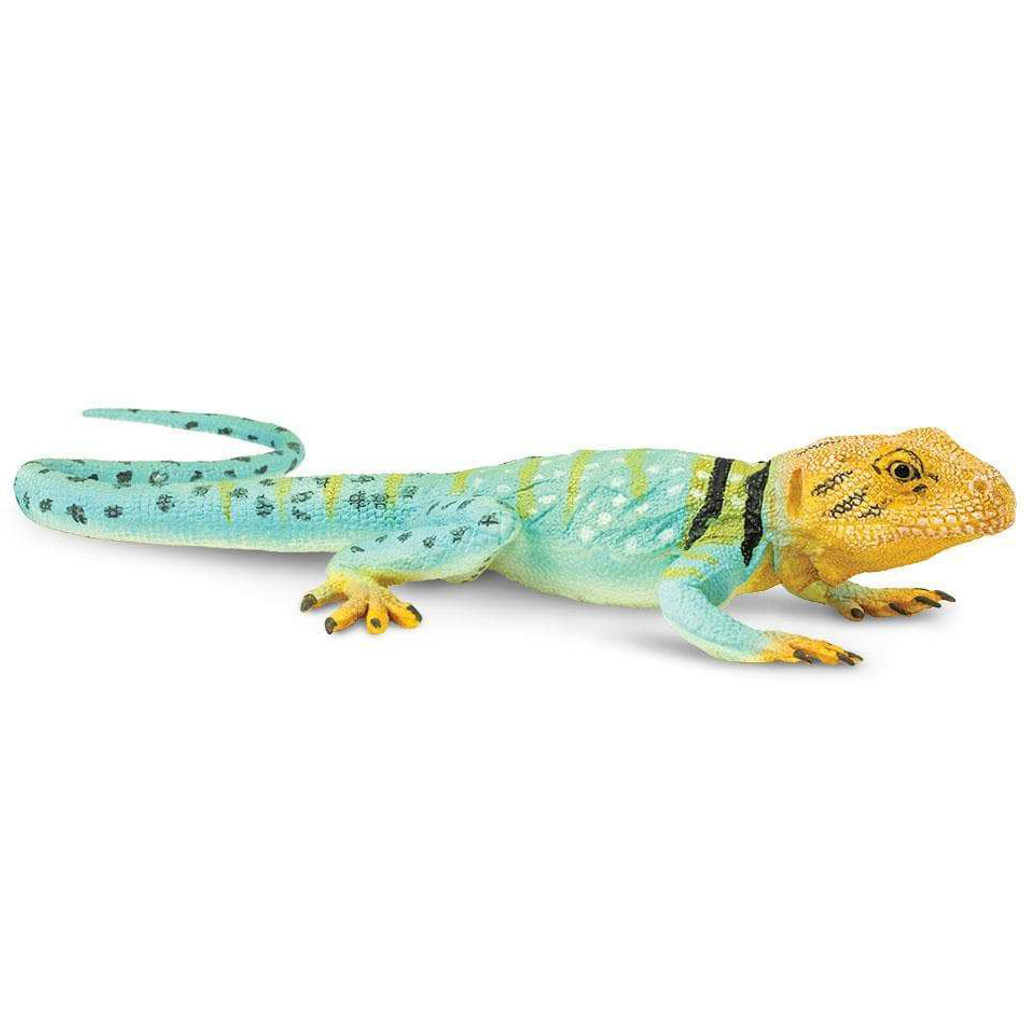 Safari Ltd Collared Lizard incredible creatures