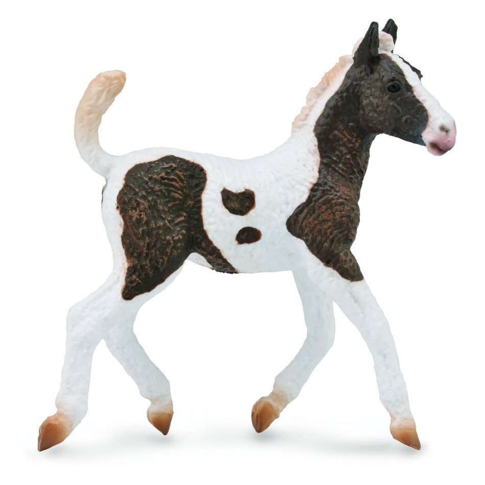 CollectA Curly Foal