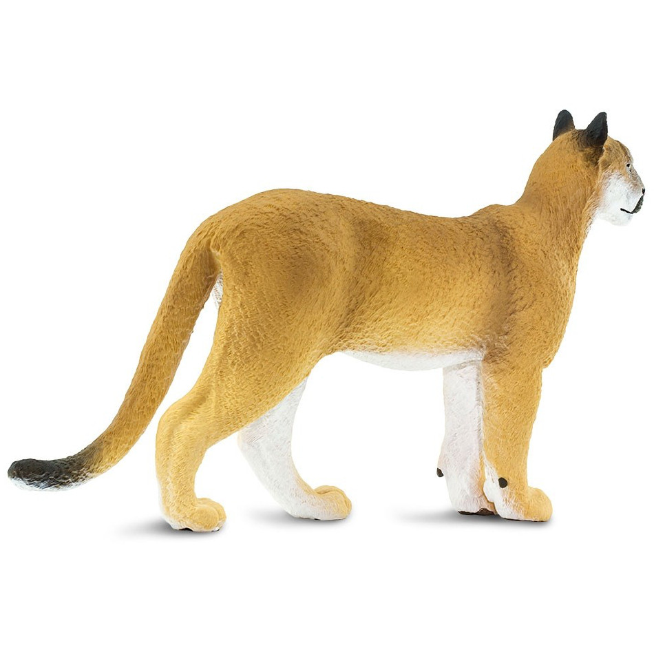 Safari Ltd Florida Panther Jumbo