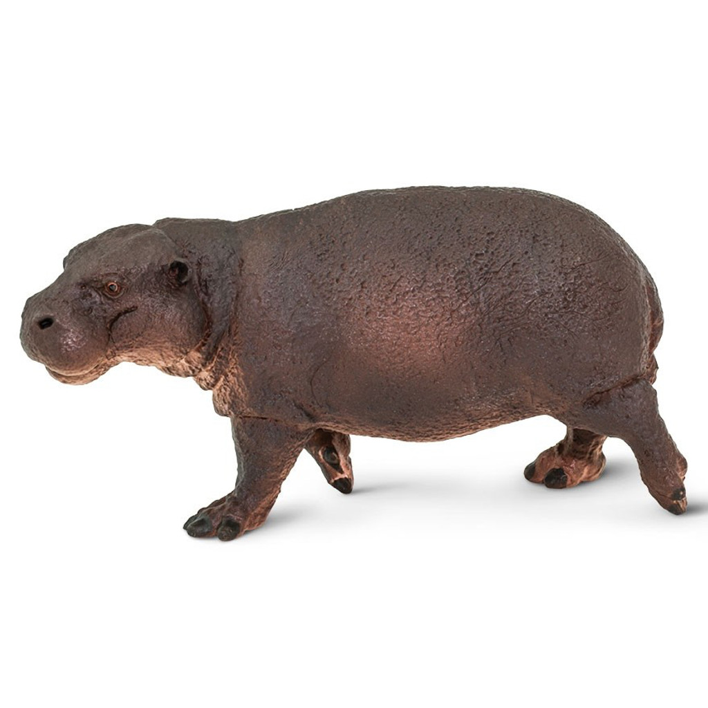 Safari Ltd Pygmy Hippo