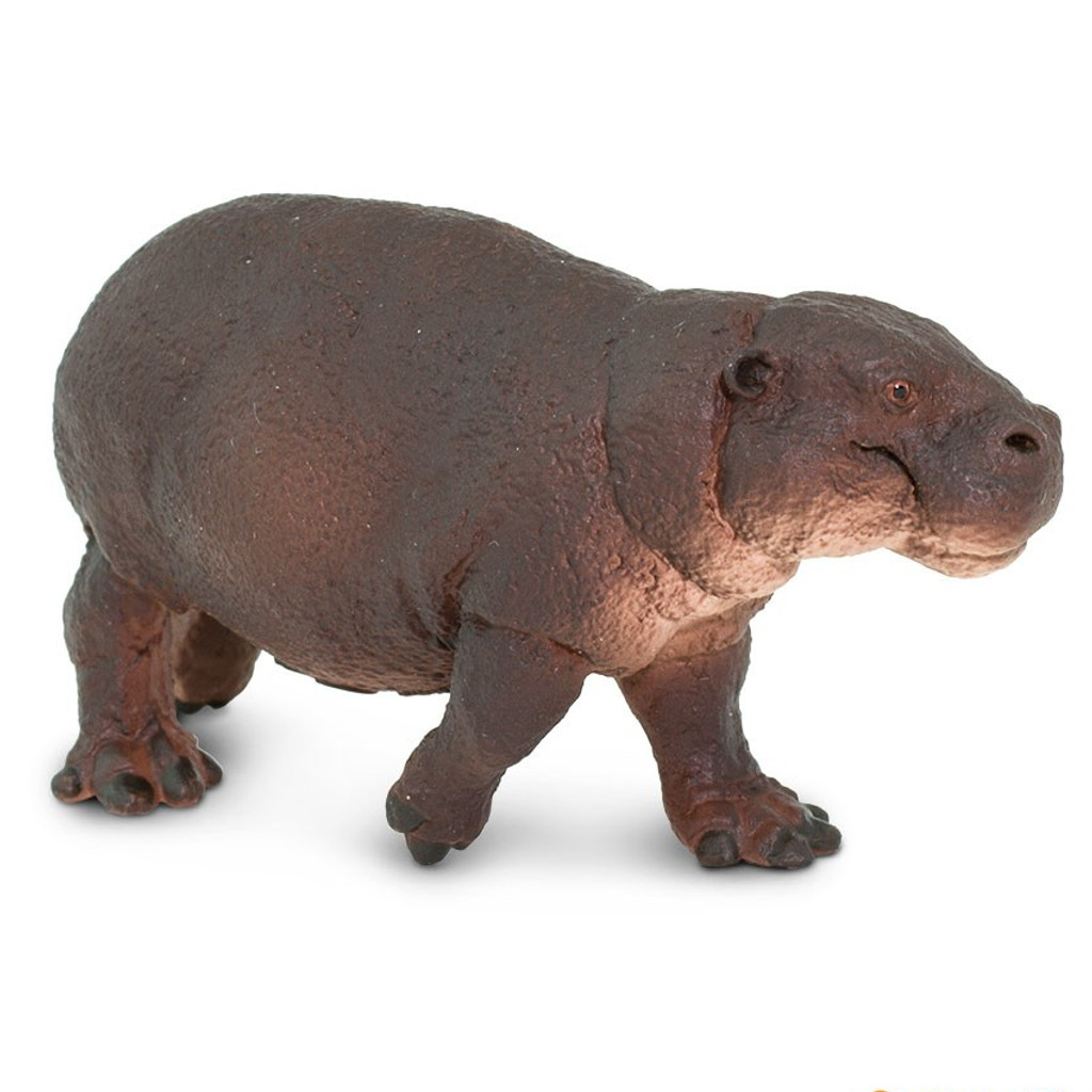 Safari Ltd Pygmy Hippo