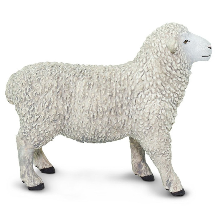Safari Ltd Sheep