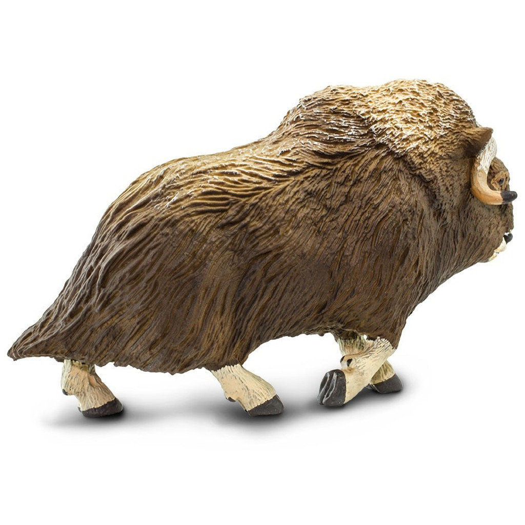 Safari Ltd Muskox