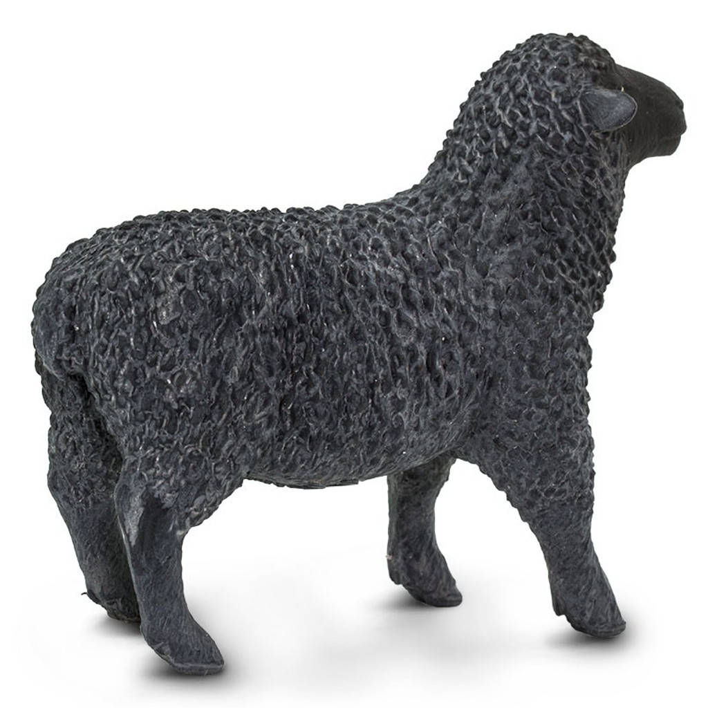 Safari Ltd Black Sheep