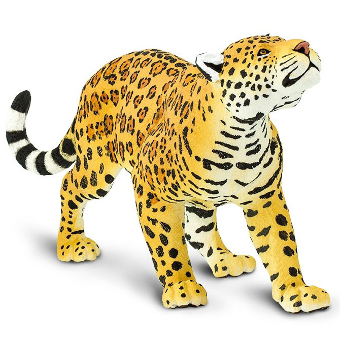 『 Yellow Leopard fam 』by Zuberi 30*40cm Safari Ltd Jaguar Jumbo 100034 | Wildlife Wonders