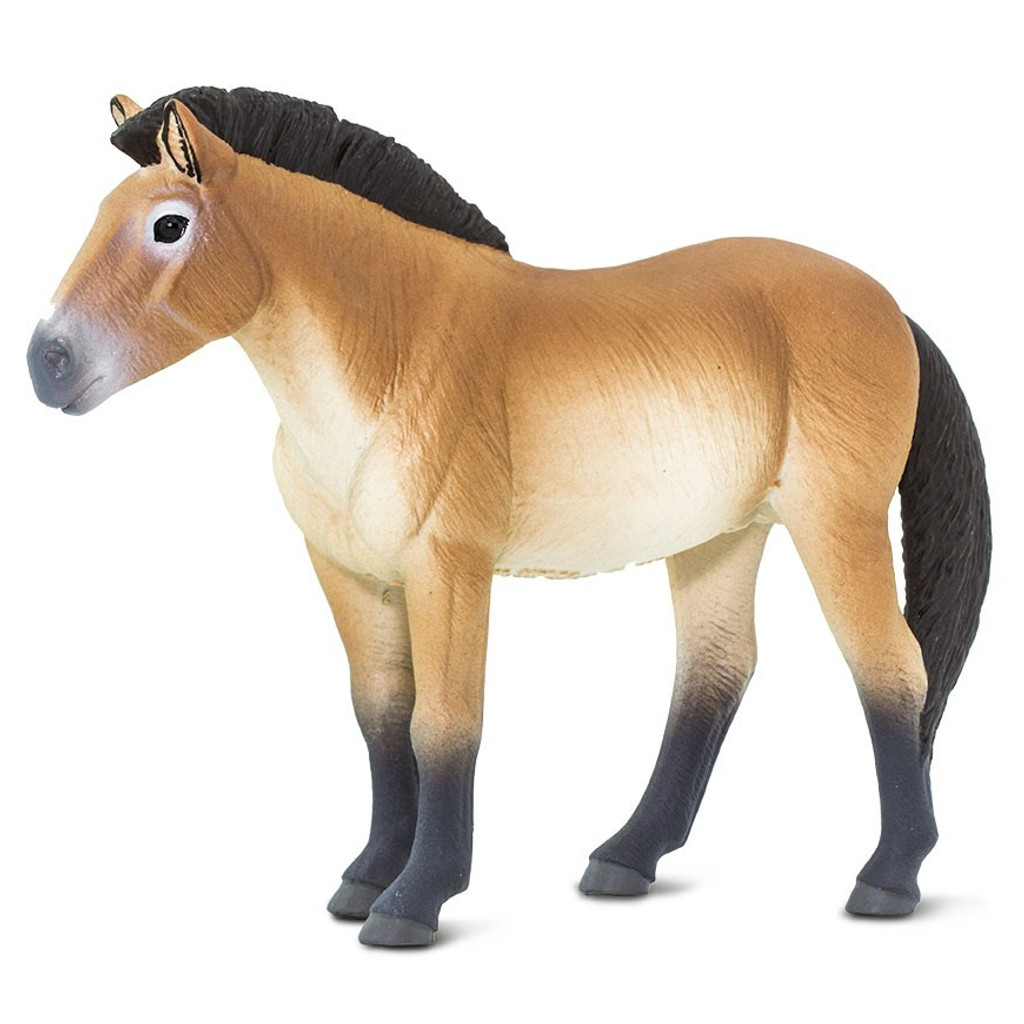 Safari Ltd Przewalski's Horse