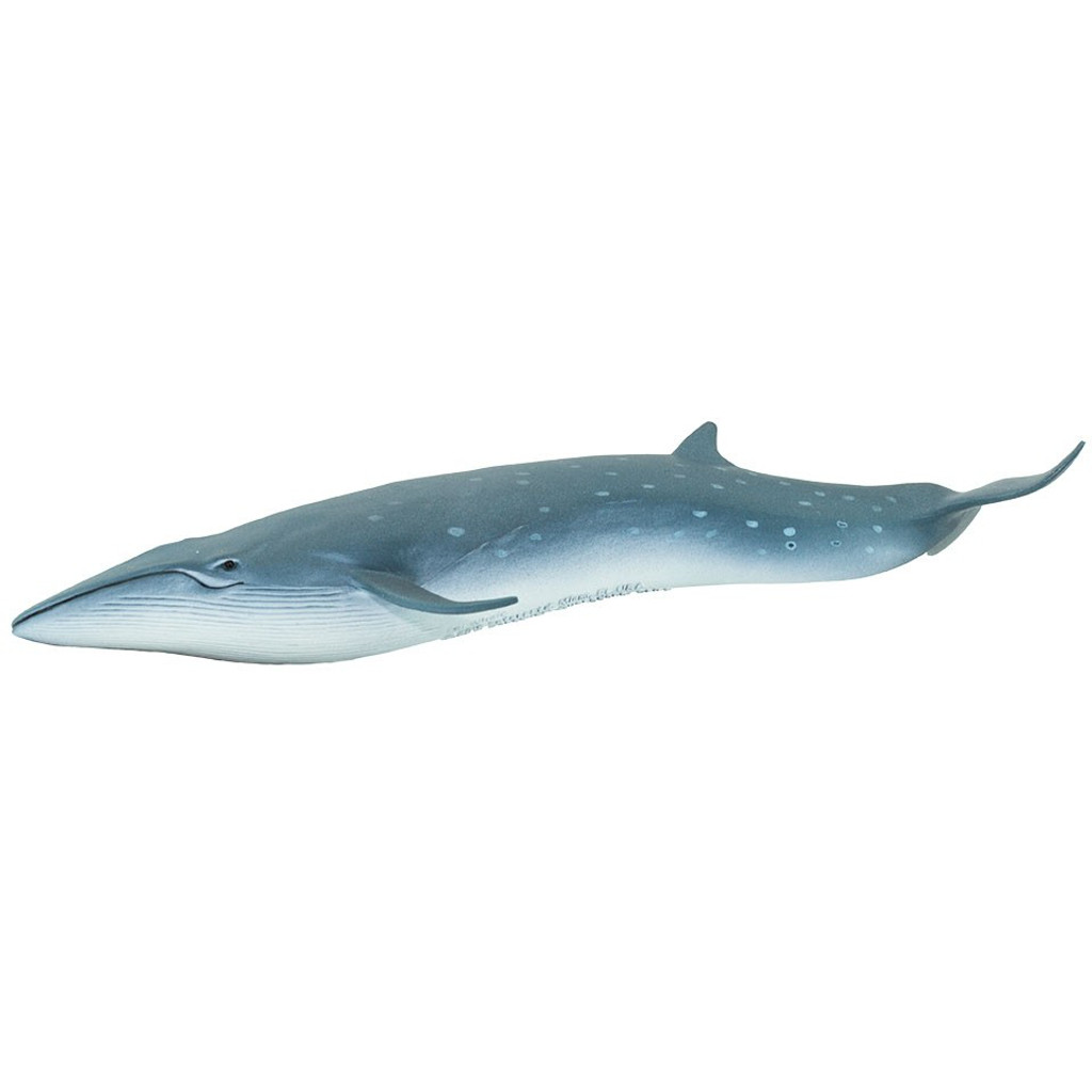 Safari Ltd Sei Whale