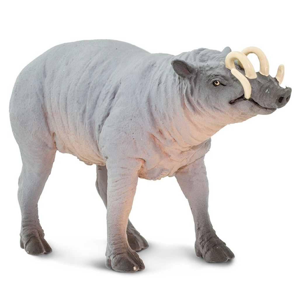 Safari Ltd Babirusa