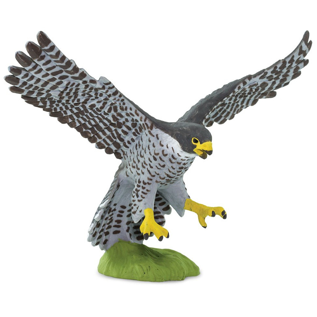 Safari Ltd Peregrine Falcon