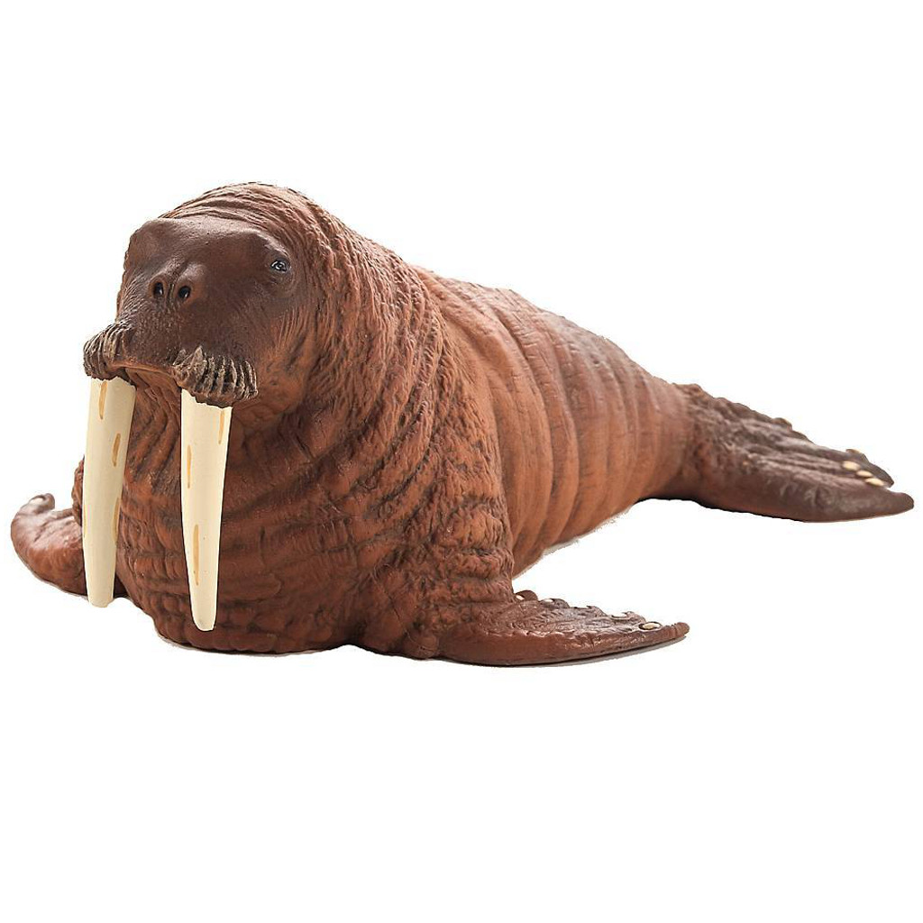 Mojo Walrus