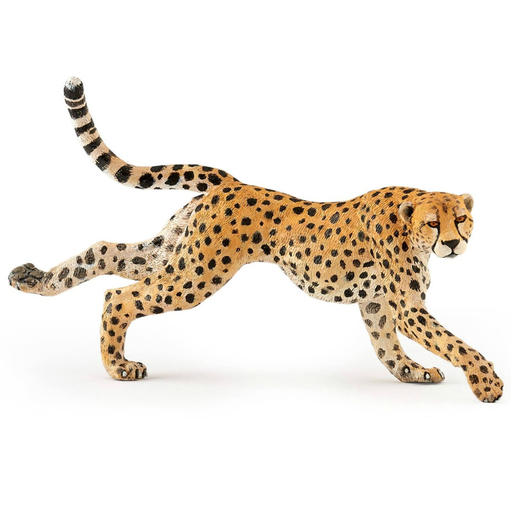 Papo Cheetah, Running