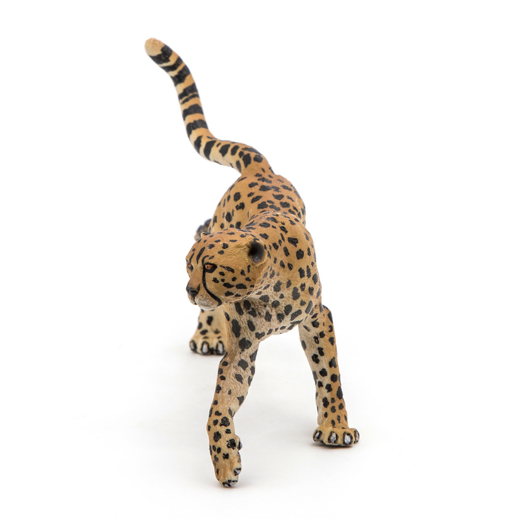Papo Cheetah, Running